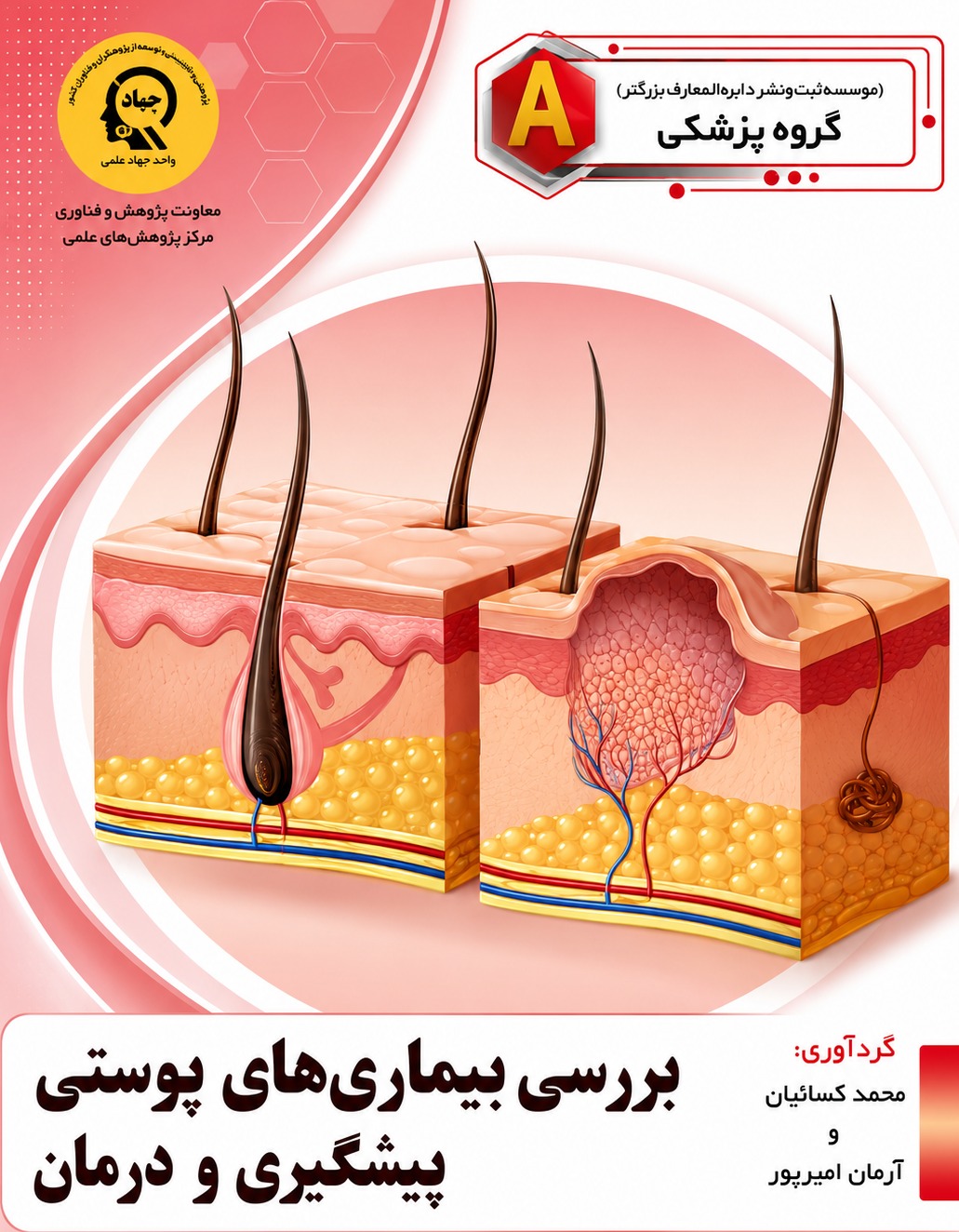 بررسی بیماری های پوستی: پیشگیری و درمان